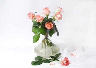 Bouquet of pink roses