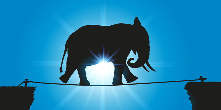 &eacute;l&eacute;phant - funambule - d&eacute;fi - challenge