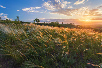 Sunrise in Ukrainian steppe. The National Park Dvurechanskiy ,
