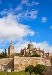 Salamanca Cathedral facade in Spain