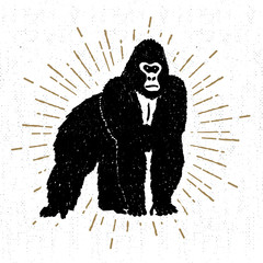 Hand drawn icon with textured gorilla vector illustration © SlothAstronaut