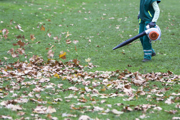 Worker in the park in autumn collects leaves with leaf blower
