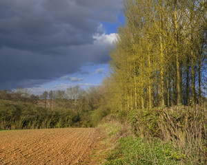 generic typical english countryside