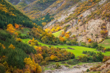Fototapeta na wymiar Golden autumn / Amazing autumn view of a mountain meadow in Rhodope Mountains, Bulgaria