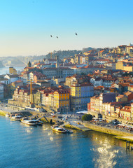 Birds over Porto, Portugal - obrazy, fototapety, plakaty