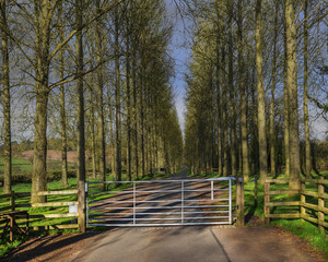 generic typical english countryside