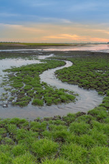 Small water way over little glass with sunset sky background