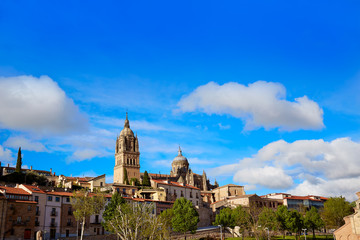Salamanca skyline and Cathedral Spain