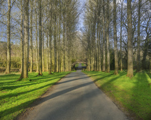 generic typical english countryside