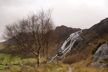 Obraz premium Landscapes of Ireland, West Cork in Winter