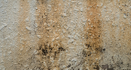 The cement wall texture background
