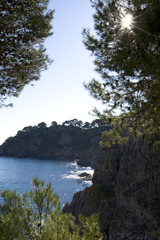 Fototapeta na wymiar Costa Brava en la zona de Calella de palafrugell girona cataluña España Mediterraneo