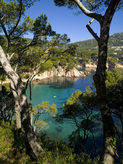 Costa Brava zona de Aigua Blava costa de gierona cataluña españa mediterraneo