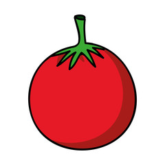 tomato fruit icon image vector illustration design 