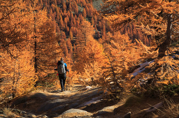 Female hiker walking in the warm autumn colors of the Claree valley, France.