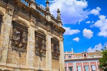 Fototapeta na wymiar Seville cathedral detail Sevilla Andalusia