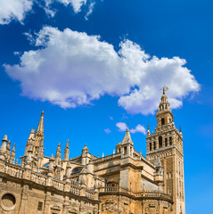 Fototapeta premium Seville cathedral Giralda tower of Sevilla