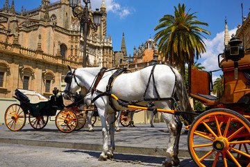 Obraz na płótnie Canvas Seville horse carriages in Cathedral of Sevilla