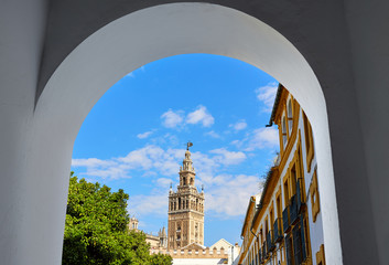 Naklejka premium Seville cathedral Giralda tower from Alcazar