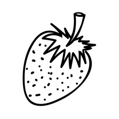 strawberry fruit icon image vector illustration design 