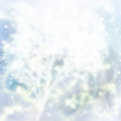 christmas defosued background tree branch and blue gleaming bokeh background