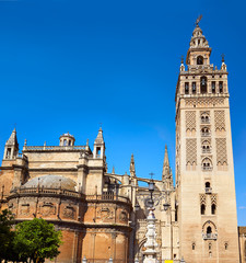 Seville cathedral Giralda tower Sevilla Spain