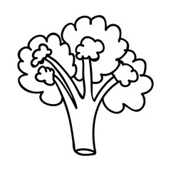 broccoli vegetable icon image vector illustration design 