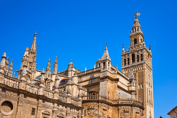 Fototapeta na wymiar Seville cathedral Giralda tower of Sevilla