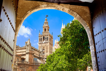 Obraz premium Katedra w Sewilli Wieża Giralda z Alcazar