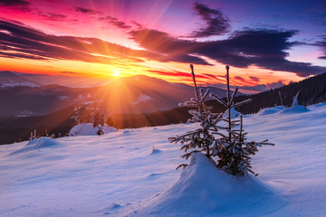 Majestic sunrise in the  winter mountains. Dramatic morning sky. View of snow-covered  trees and  hills at distance.