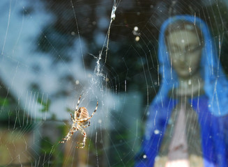 Pająk z matką boską