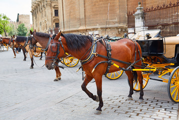 Obraz na płótnie Canvas Seville horse carriages in Cathedral of Sevilla