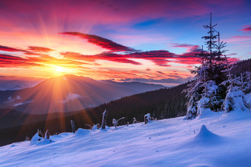 Majestic sunrise in the  winter mountains. Dramatic morning sky. View of snow-covered  trees and ...