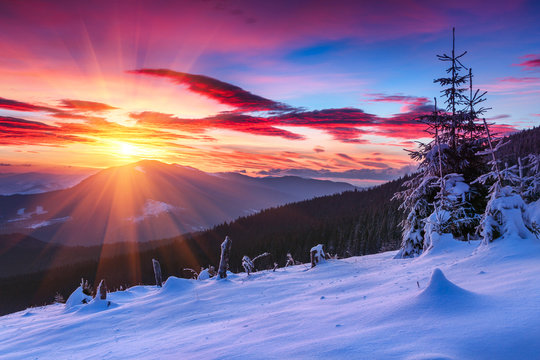 Majestic sunrise in the  winter mountains. Dramatic morning sky. View of snow-covered  trees and  hills at distance.