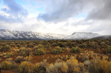 Steen Mountains, Eastern Oregon