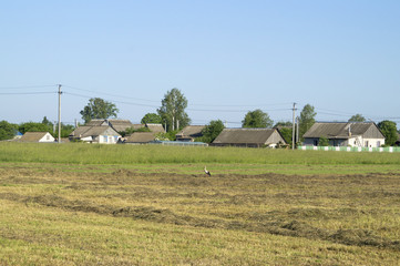 скошенное сено сушиться возле деревенских домов