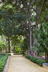 seville maria luisa park gardens spain
