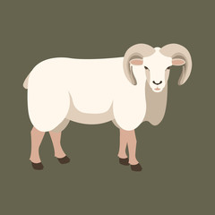 sheep ram vector illustration style Flat