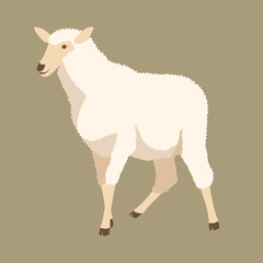 sheep vector illustration style Flat