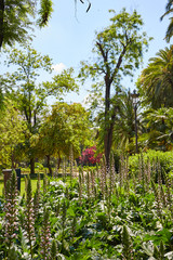 seville maria luisa park gardens spain