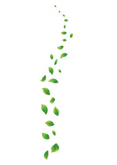 Leaves in the wind decoration. Vector illustration