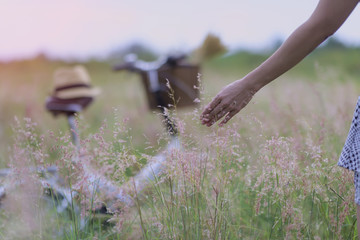 Hand of woman touching flower of grassed on the field of medow with soft focus of bicycle in backgound