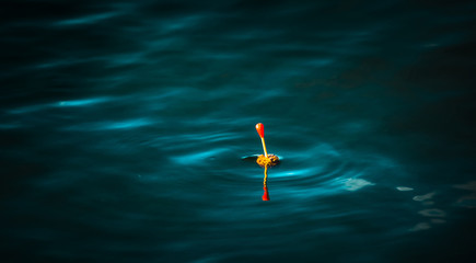 fishing at dark © S_E