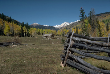 Fototapeta na wymiar Colorado Mountain Cabin