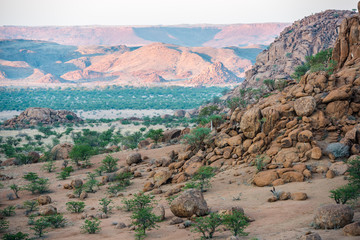 Rocky landscape of Namibia with huge boulders and green trees