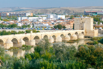 Cordoba. Roman bridge.