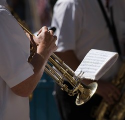 Obraz premium Fanfare.