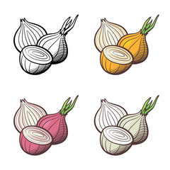 Set of onion. Whole bulb and cross section. Red, yellow, white onion and outline version. Stylized vector illustration, isolated on white