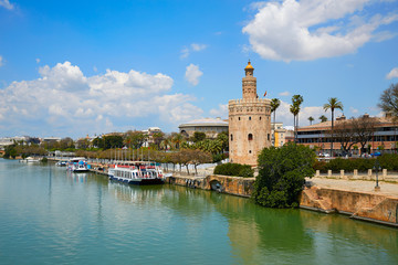 Fototapeta na wymiar Seville Torre del Oro tower in Sevilla Andalusia