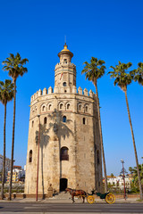 Fototapeta na wymiar Seville Torre del Oro tower in Sevilla Spain